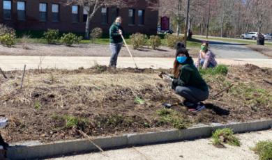 Interns working in garden 